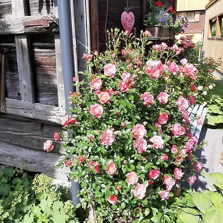 Landhaus Tippl Apartment Aigen im Ennstal
