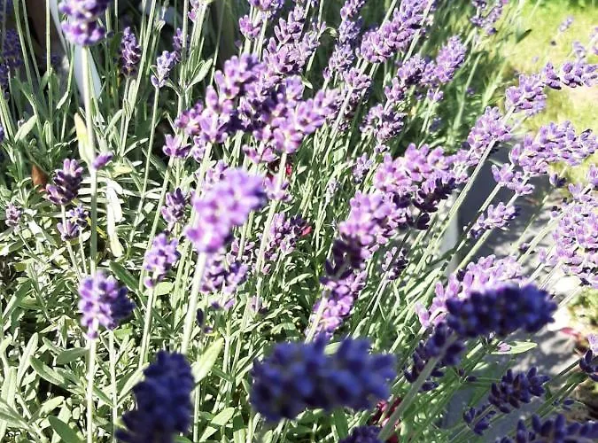 Tippl شقة آيغن إم إنشتال