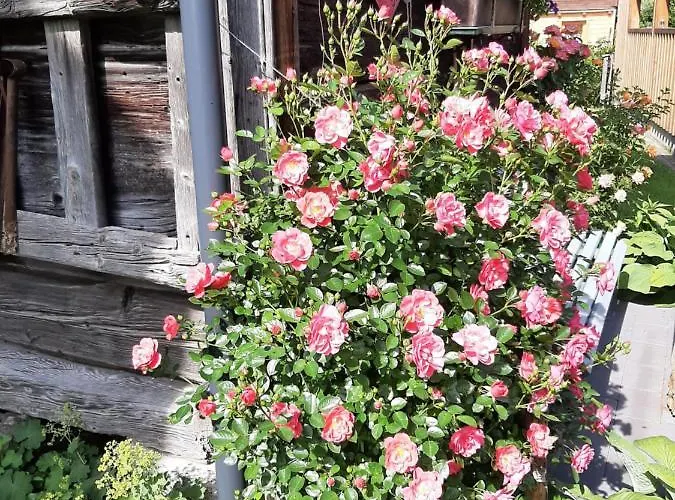 Tippl Lägenhet Aigen im Ennstal