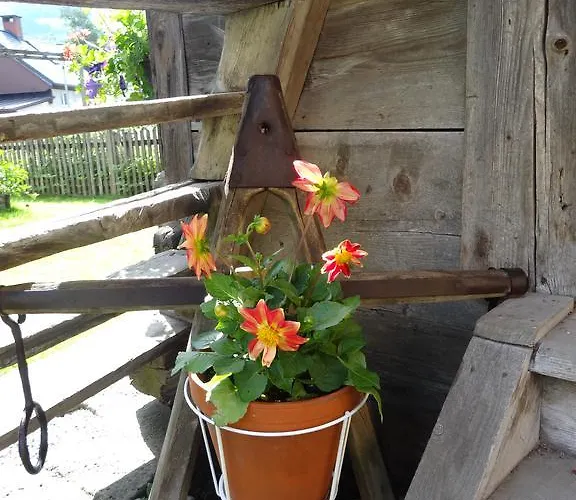 Tippl Aigen im Ennstal