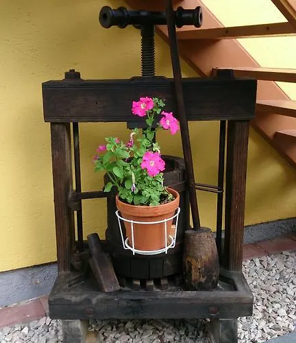 Tippl Aigen im Ennstal