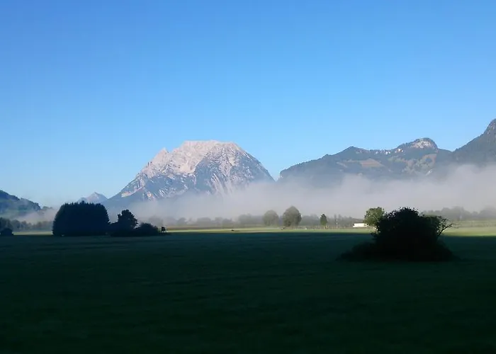 Tippl آيغن إم إنشتال